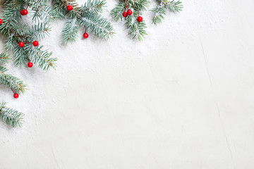 White Christmas background with Christmas tree branches and red berries