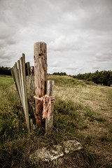 Wooden fences dividing horse paddocks