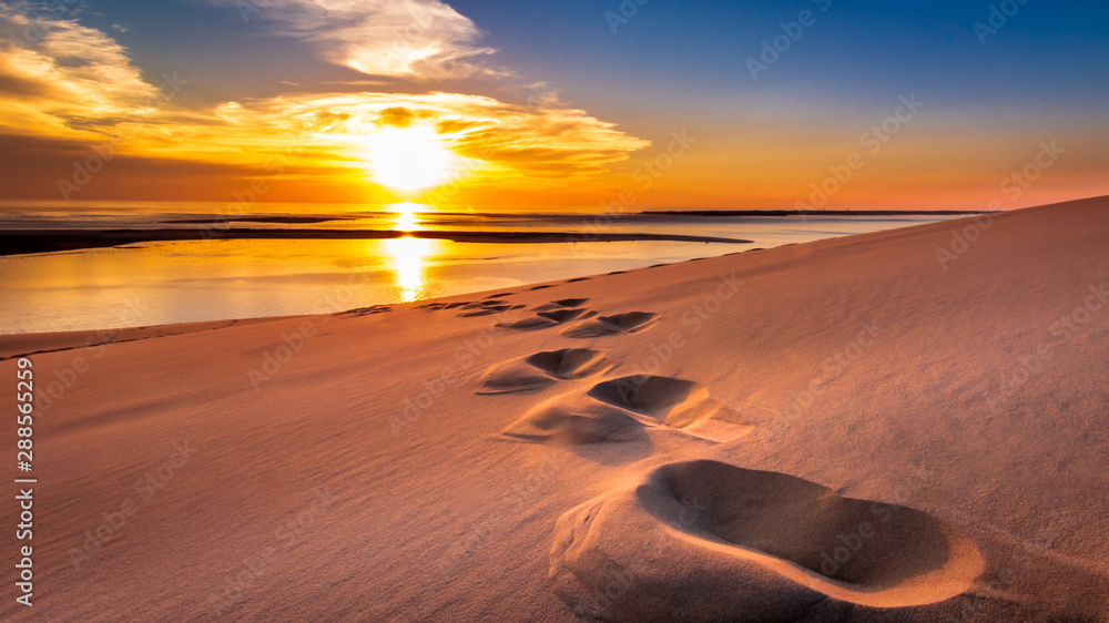 Into the Sunset - Footsteps in the sand of the Dune du Pilat - obrazy, fototapety, plakaty 