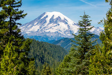 Mount Rainier National Park In The State Of Washington In August