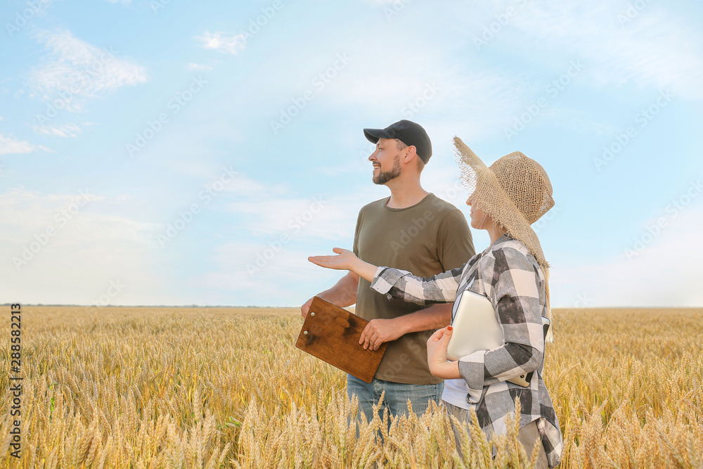 Farmers in field on sunny day