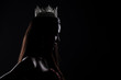 © Jade - Portrait of Miss Pageant Beauty Contest in sequin Evening Ball Gown long dress with sparkle light Diamond Crown, silhouette low key exposure with curtain, studio lighting dark background dramatic