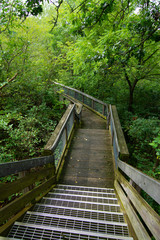 Path to the overlook