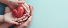 Hands Holding Red Heart On Aqua Background, Heart Health, Donation, CSR Concept, World Heart Day, World Health Day, Family Day, Wellness, Hope And Gratitude, Compliment  Dayconcept