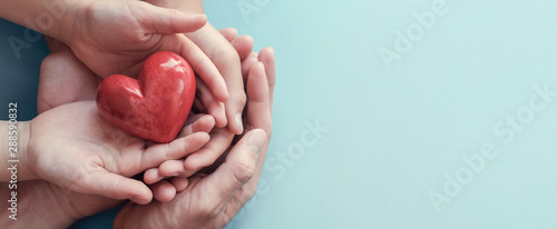 Fotomural hands holding red heart on aqua background, heart health, donation, CSR concept,