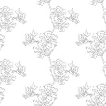 Black And White Floral Vector Seamless Pattern. Hand Drawn Black Contours Of Oleander Flowers On White Background. Ornate Template For Design, Textile, Wallpaper, Ceramics, Coloring.