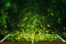 Open Fairytale Magic Book. Fireflies In The Wild Forest. Famous Romantic Place Called Tunnel Of Love, Klevan, Ukraine. Natural Summer (spring) Background (collage)