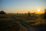 Fototapeta Na sufit - sunset over a field