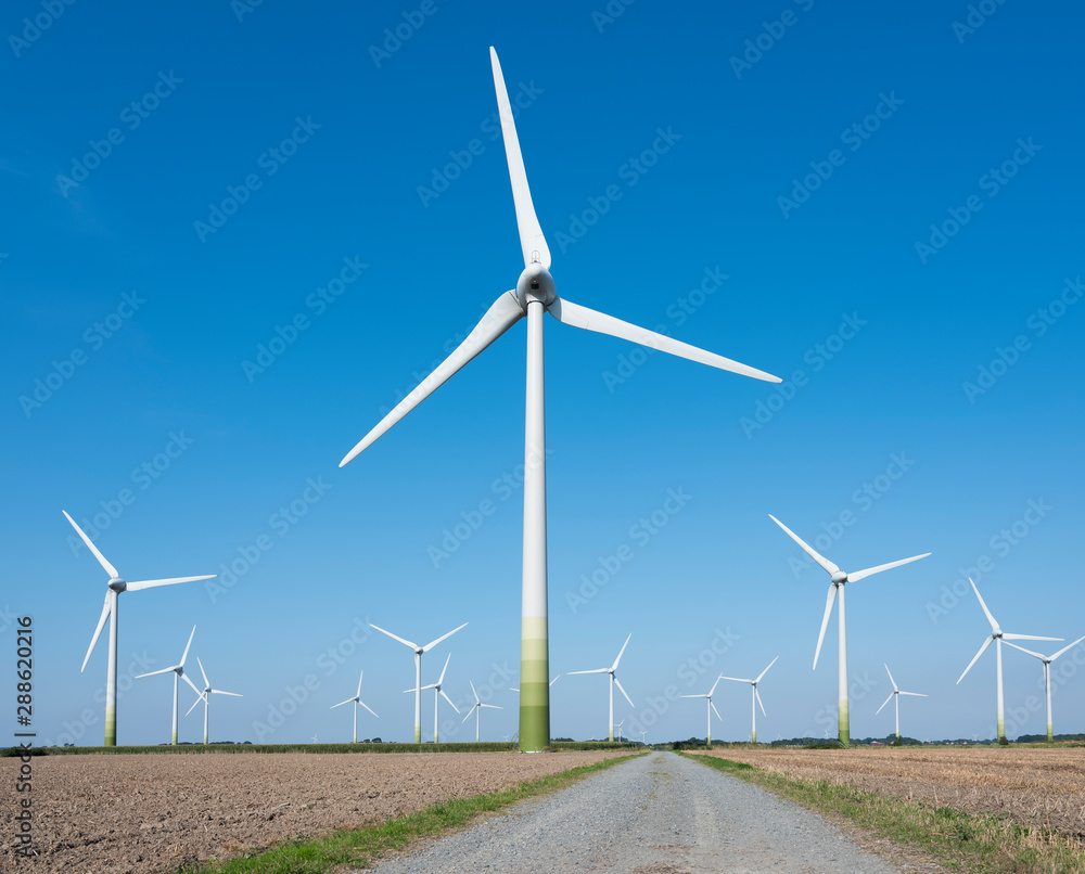wind turbines in rural landscape of ostfriesland in the north of germany and blue sky - obrazy, fototapety, plakaty 