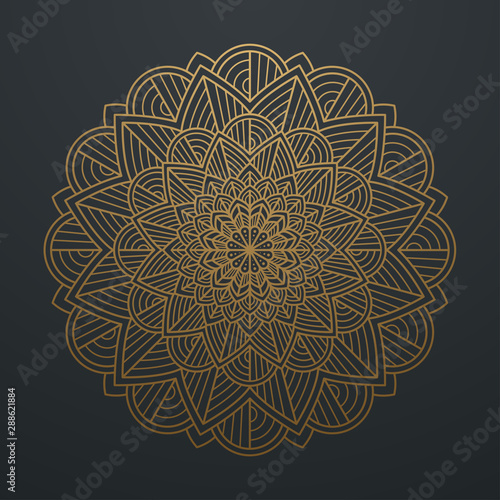 abstract petals leaf mandala gold line on black background. Vector illustration
