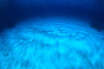 Wall Mural - Underwater blue ocean background 