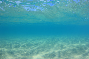 Wall Mural - Underwater blue ocean background 