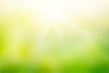 Wall Mural - sunlight with abstract blurred green nature background