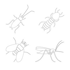 Canvas Print - Cockroach, termite, mosquito and fly. Outline. Vector.