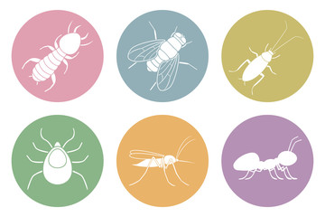 Canvas Print - Set of household pest icons. Cockroach, termite, mosquito, fly, ant and tick. Vector.