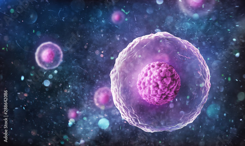 Cuadros en Lienzo Human (animal) cell under microscope. 3d illustration