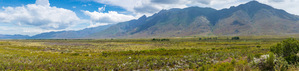 beautiful grassland savannah landscape with mountains on the background