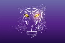 The Particles, Geometric Art, Line And Dot Of Tiger Head.