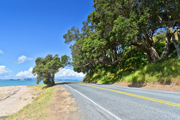 Wall Mural - Maraetai Coast Road