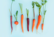 Carrots Of Different Shapes, Colors And Sizes On A Blue Background, Top View. Diversity Concept