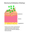 Mechanical exfoliation or peeling, vector illustration on light background
