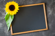 Blank chalkboard on dark stone with sunflower. Autumn background for fall season.