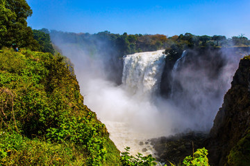 Wall Mural - Mist rose above the Victoria Falls