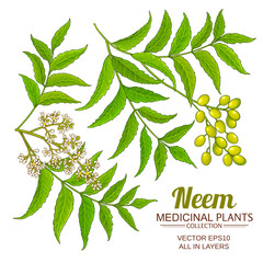 Poster - neem vector set