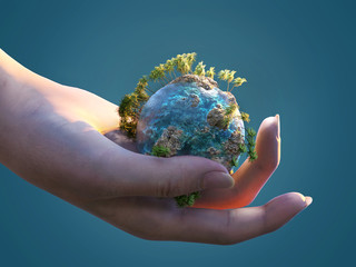 Wall Mural - small fragile blue planet in a female hand