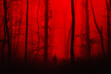 Surreal Horror Landscape, Man In Forest Nightmare Scene
