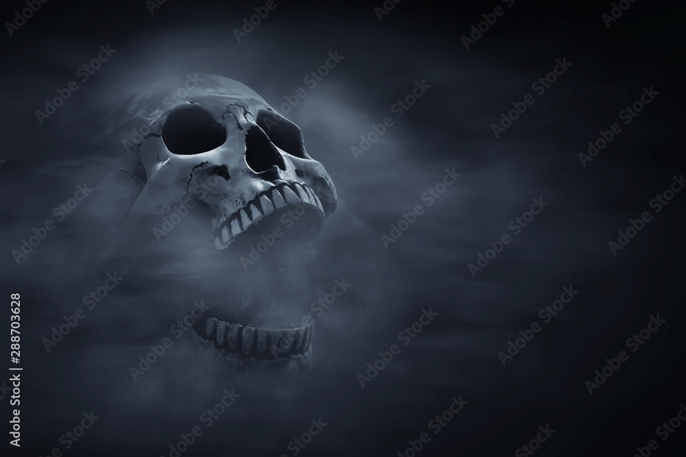Human skull on dark background - obrazy, fototapety, plakaty 