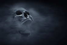 Human Skull On Dark Background