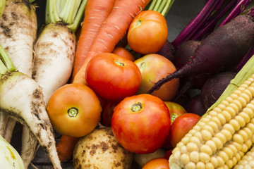 Wall Mural - Tasty garden vegetables closeup