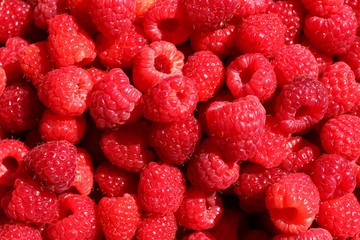 Wall Mural - Raspberry berry in summer closeup