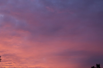 Beautiful pink sunset in summer city clouds romantic