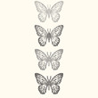 Eight inch wide sized butterfly layout for rhinestone or stud designs