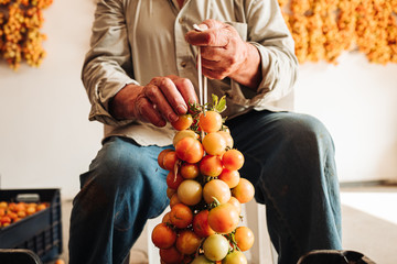 Sticker - PUGLIA / ITALY -  AUGUST 2019: The old tradition of hanging cherry tomatoes on the wall to preserve them for wintrr time in the south of Italy