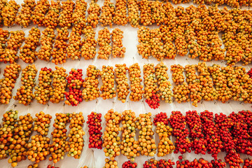 Sticker - Cherry tomatoes hanging on the wall in the south of Italy