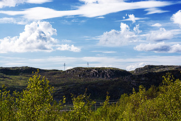 A rocky hill among trees under a bright sky. Clouds seem to fly overhead. Peace and quiet. This is the Murmansk oblast, Russian North, Russian tundra