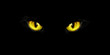 Black cat's yellow eyes on black background. Halloween card, invitation, animal hand drawn illustration. Halloween element for design
