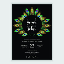 Wedding Invitation Card Template With Peacock Feather