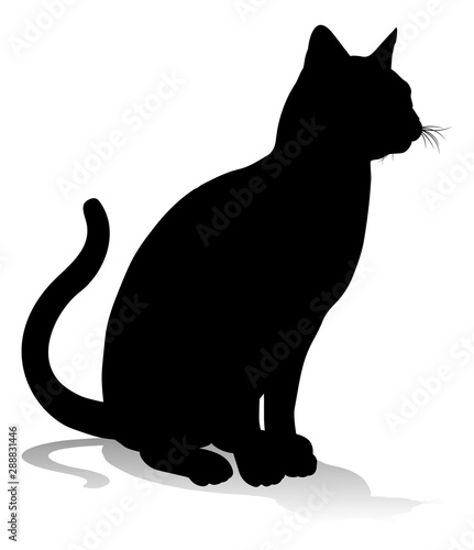 A silhouette cat pet animal...