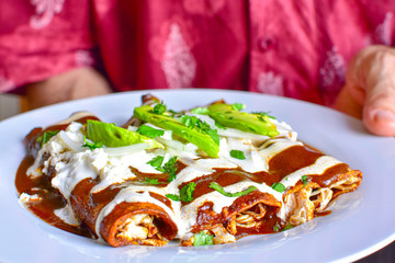 Wall Mural - Delicious enchiladas of mole with cheese