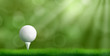 Golf ball resting on tee pushed into ground, cowered thick lawn grass, blurred with bokeh sunbeams on background 3d realistic vector illustration. Golf tournament ad banner template with copyspace