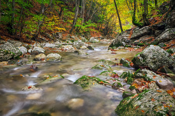 Wall Mural - Amazing Autumn landscape. River in colorful autumn park with yellow, orange, red, green leaves. Golden colors in the mountain forest with a small stream. Season specific.