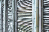 Fototapeta  - Green bamboo fence, bamboos wall texture background.