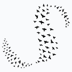 Wall Mural - Silhouette of a flock of birds. Black contours of flying birds. Flying pigeons. Tattoo.