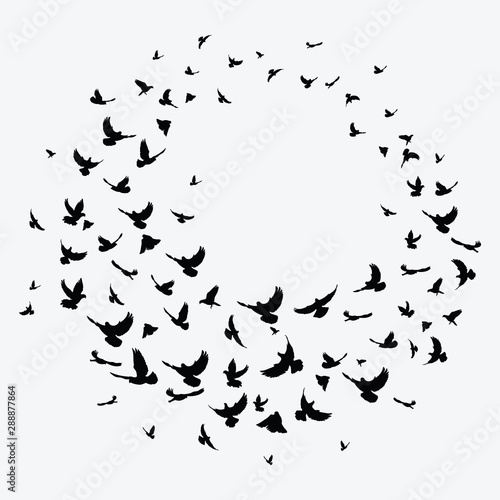 Cuadros en Lienzo Silhouette of a flock of birds