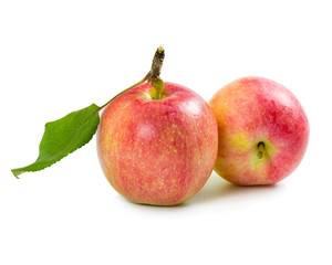 Two red-yellow apple