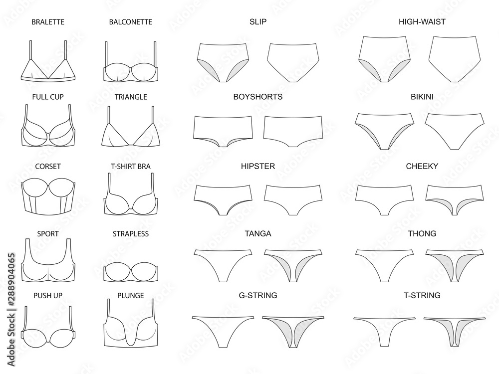 Types of women's panties  and bras. Set of underwear. Vector illustration - obrazy, fototapety, plakaty 